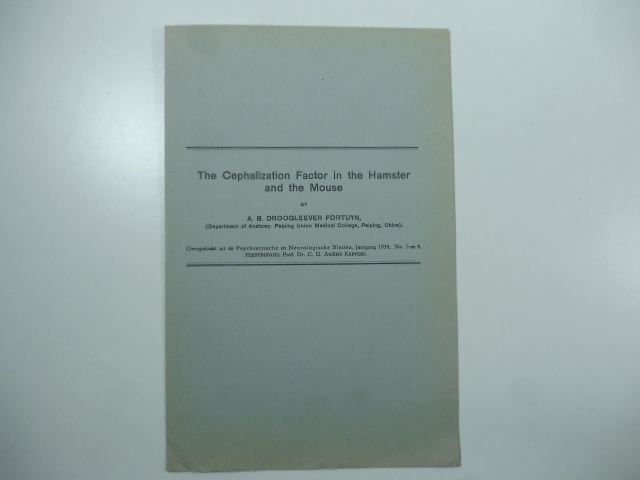 The Cephalization Factor in the Hamster and the Mouse